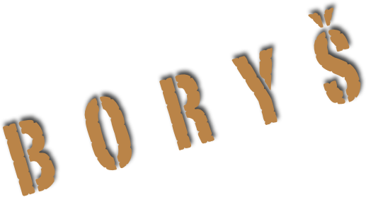 BORYŠ
